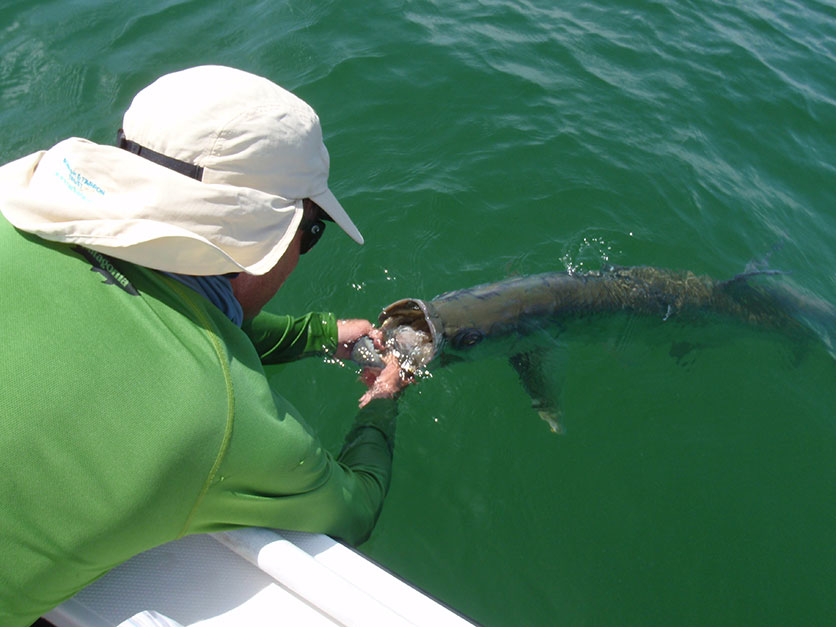 Tarpon Weight Chart