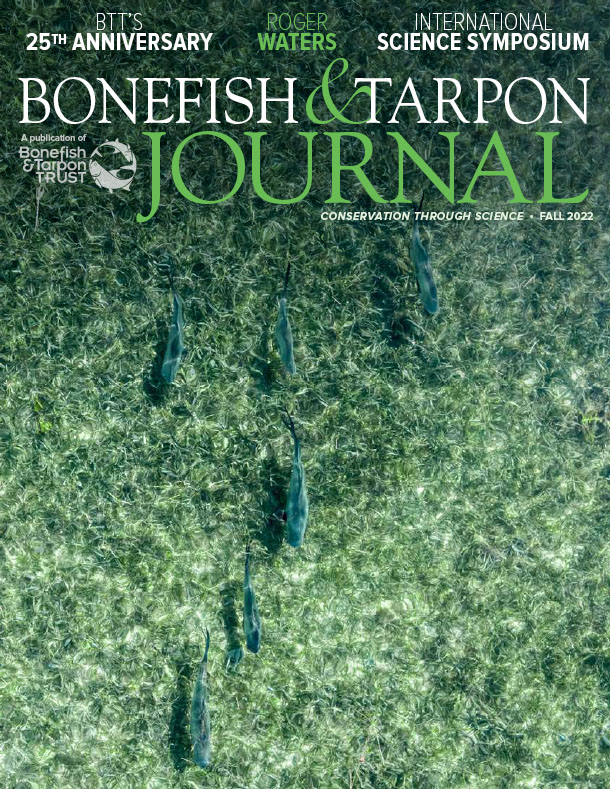 fall 2022 btt journal