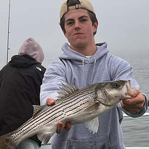 Jack Tanner