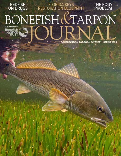 Bonefish and Tarpon Trust Journal - Spring 2023