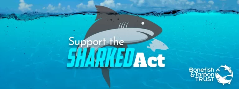 support the SHARKED Act