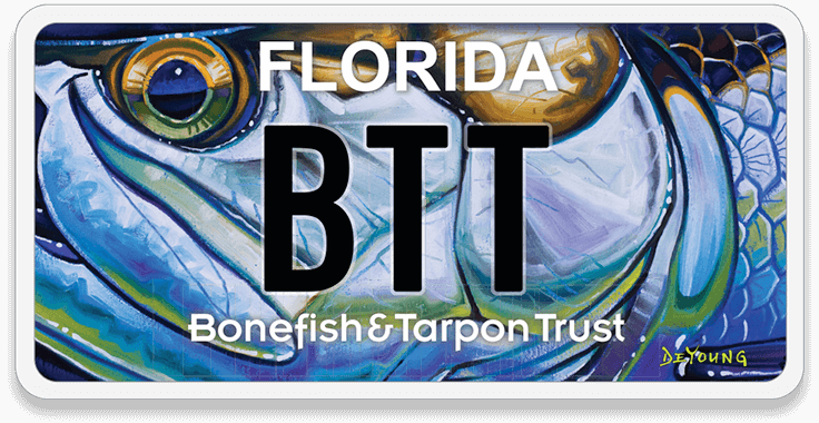 bonefish and tarpon trust license plate