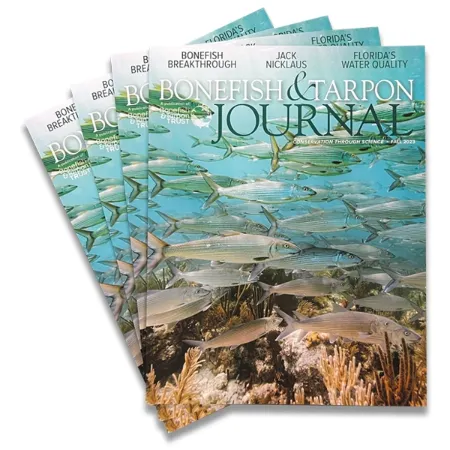bonefish & tarpon journal