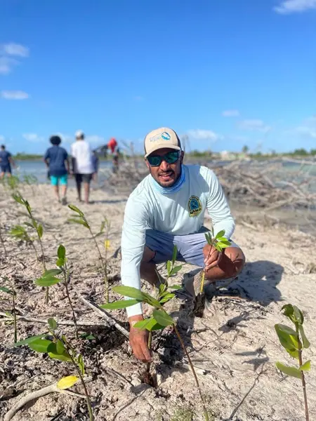 planting mangroves in the bahamas