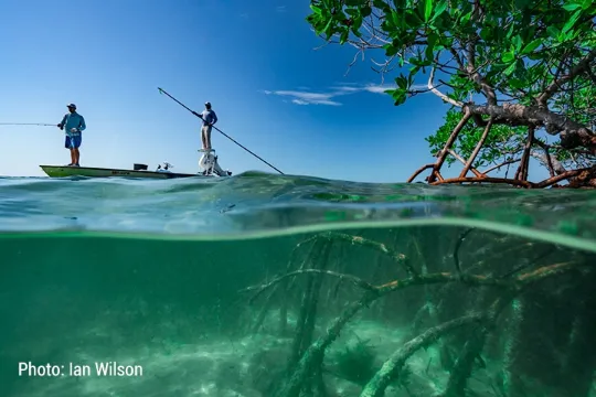 Florida, our waterways are worth fighting for.