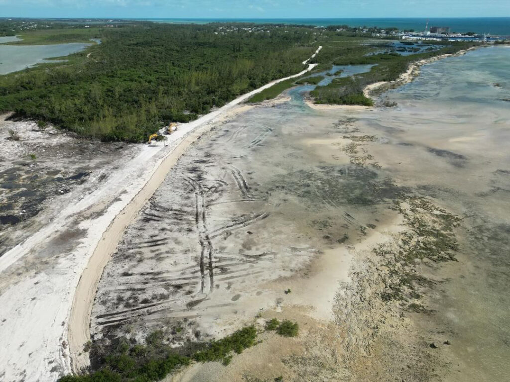 Destruction of mangroves in New Providence, The Bahamas