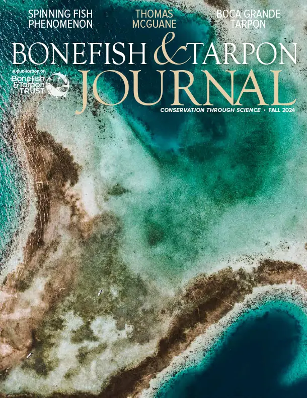 btt journal fall 2024
