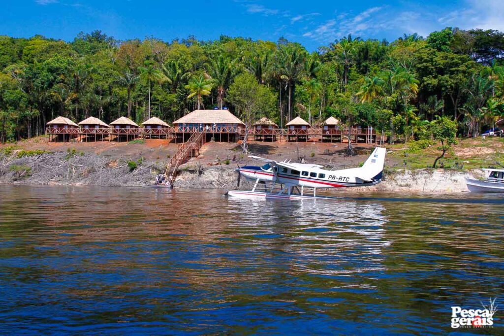 Vilanova Amazon