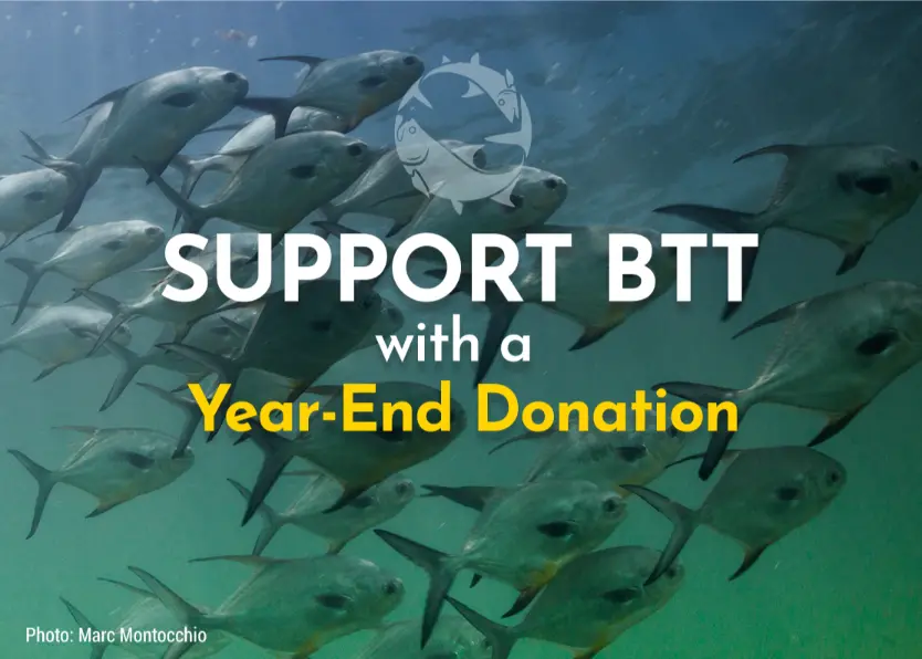Support BTT with a Year-End Donation