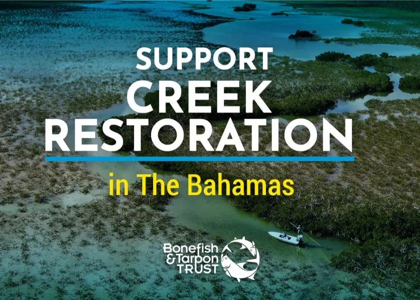 Support Bahamas Creek Restoration
