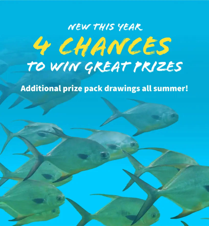 free entries with every purchase