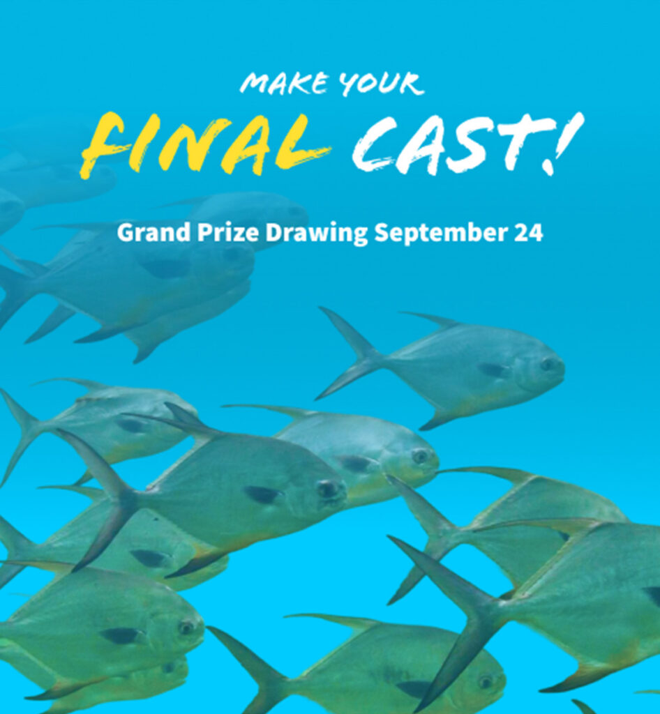 free entries with every purchase