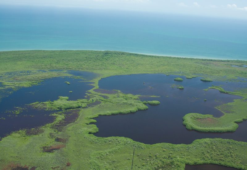 A view of the Belize coastal habitat mosaic.Dr. Aaron Adams