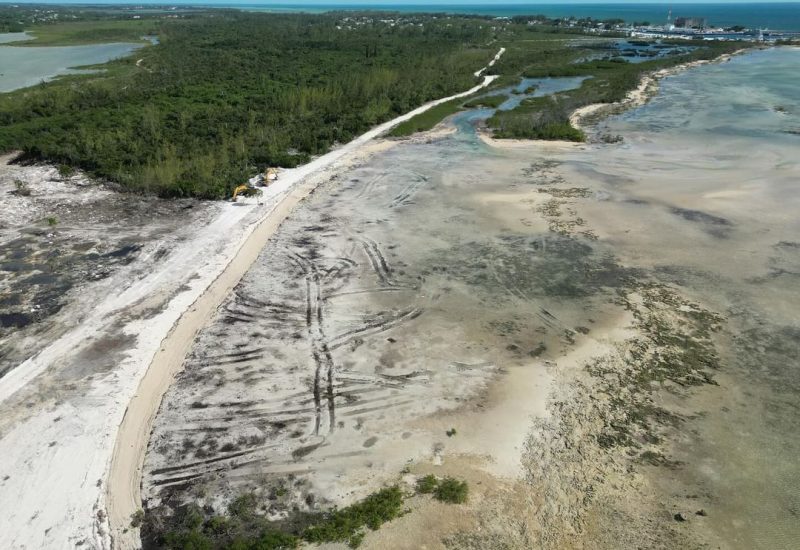 Destruction of mangroves in New Providence, The Bahamas