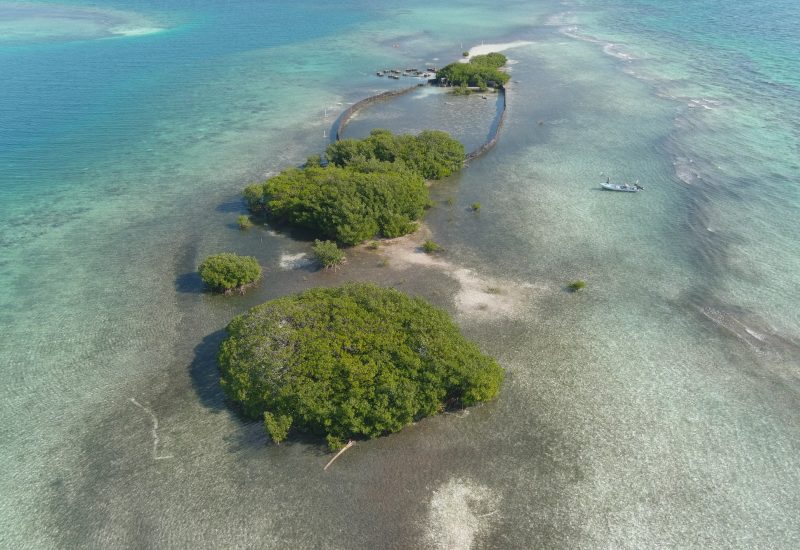 Angelfish Caye. Photo: Dr. Addiel Perez