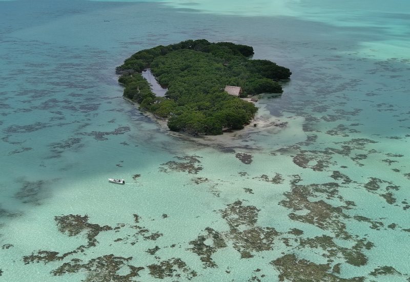 Cayo Rosario is located within Belize’s Hol Chan Marine Reserve. Permit are catch-and-release only in Belize, but not further north in Mexico. Photo: Addiel Perez