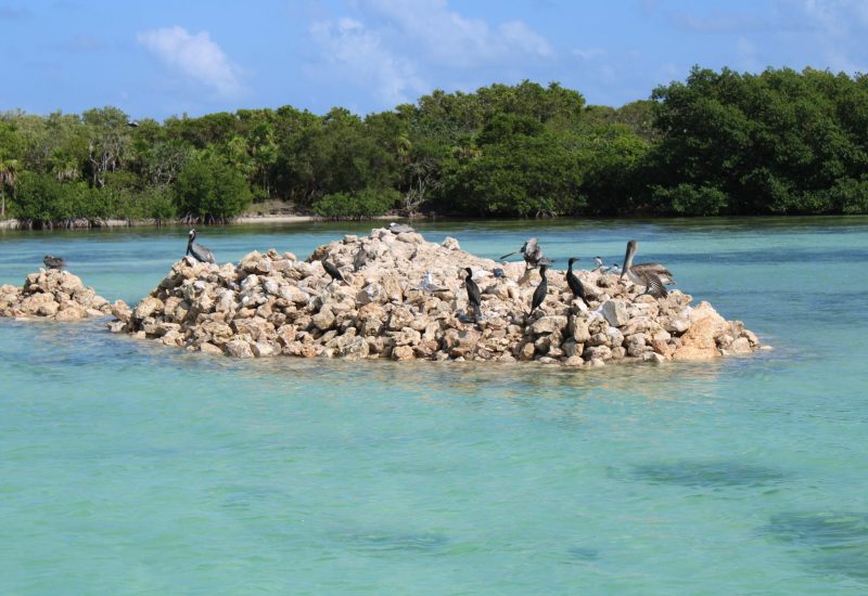 Cayo Rosario heardrocks (32)