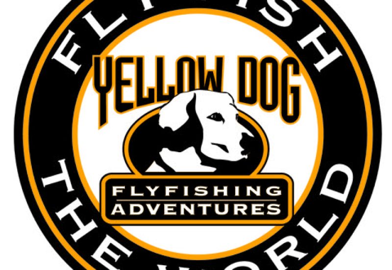 Fly Fish the World logo