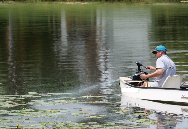 Tampa, FL, August, 2022 - A local aquatic expert is spraying herbicides to a pond that is taken over by invasive water lillies which deprive wildlife from oxygen