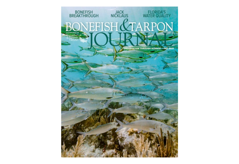 Journal Image