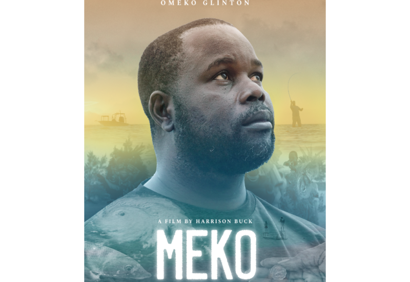 Meko Pandion Creative