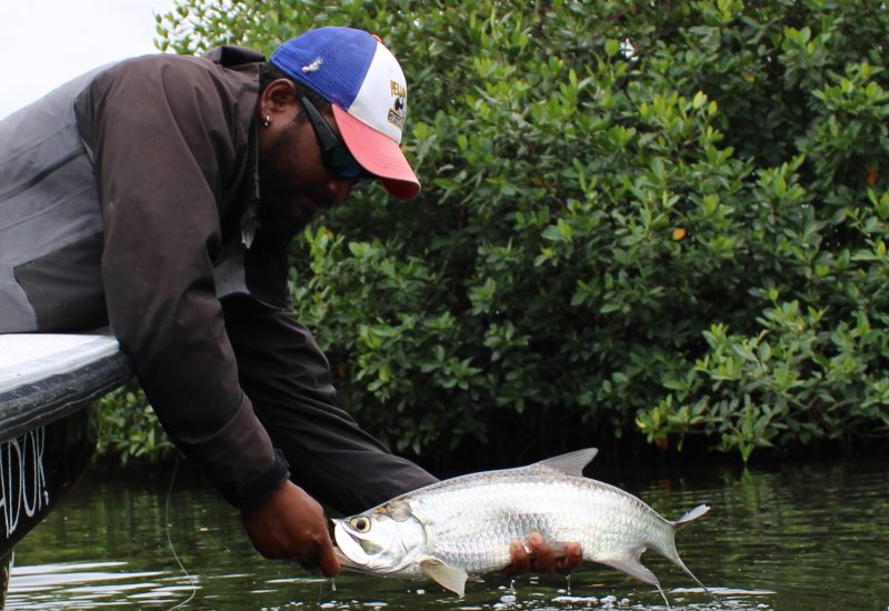 Photo #3. tarpon.Dr. Addiel Perez