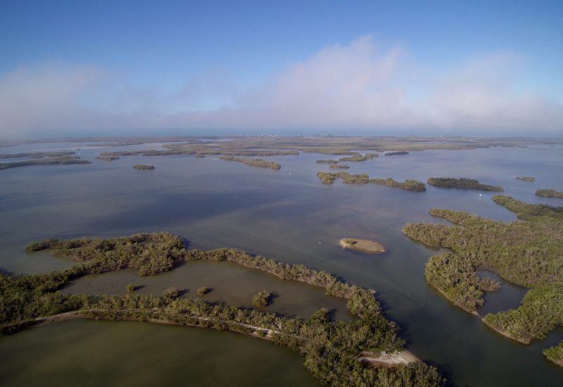 Rookery Bay National Estuarine Research Reserve