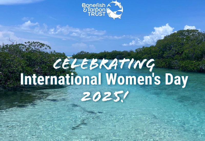 BTT Celebrates International Women's Day