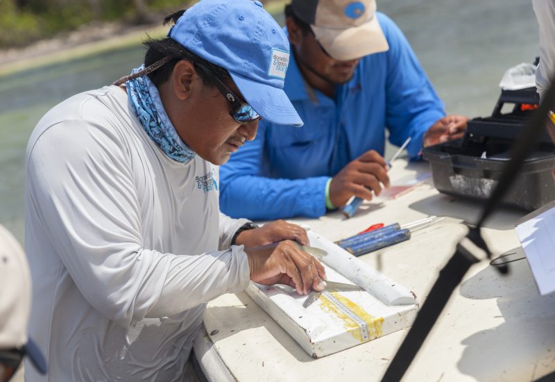 addiel_bonefish_measurement.patrick_williams