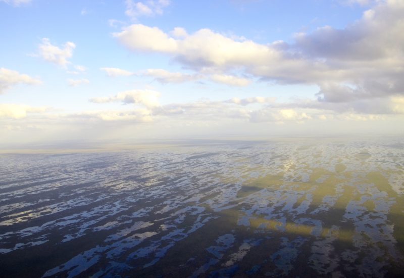 aerial_river_of_grass_alex_woodsum_0