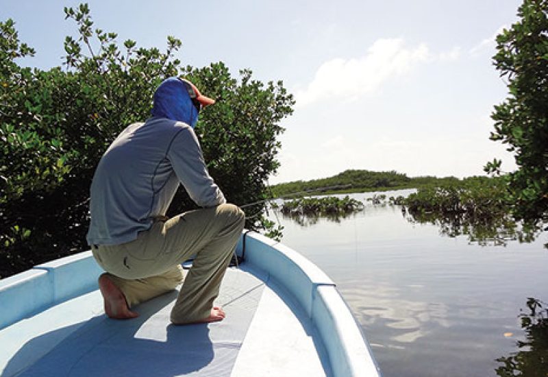 bonefish-mangroves-nick-roberts