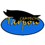 campeche tarpon