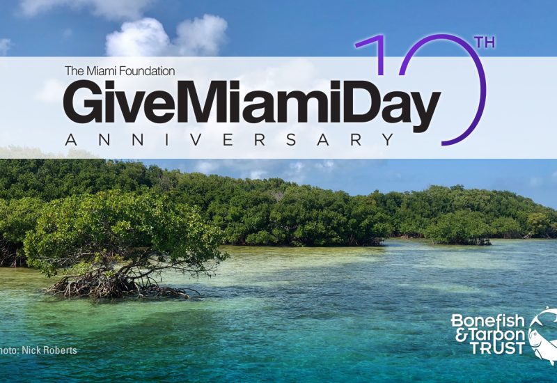 facebook-mangroves-giveMiamiDay