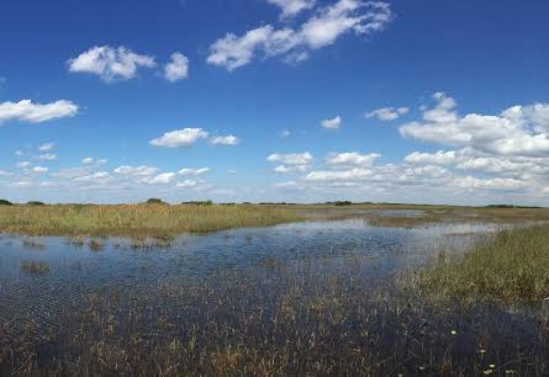 glades_2.roberts