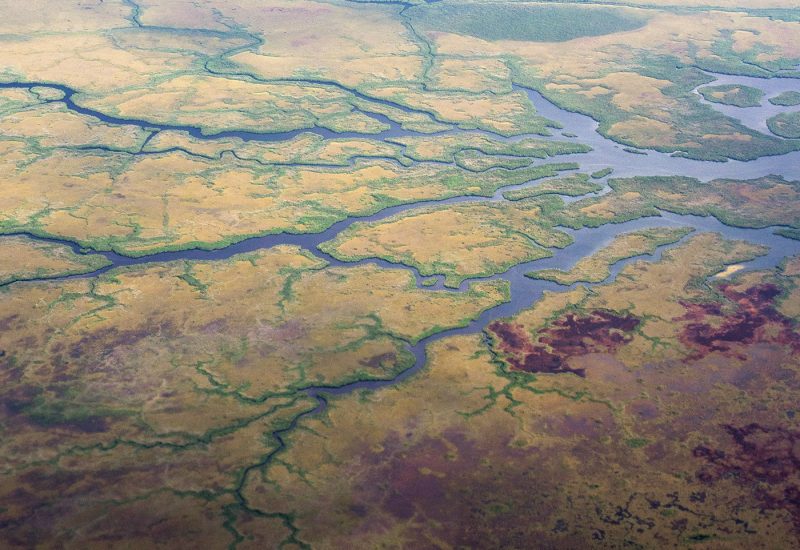 florida everglades aerial