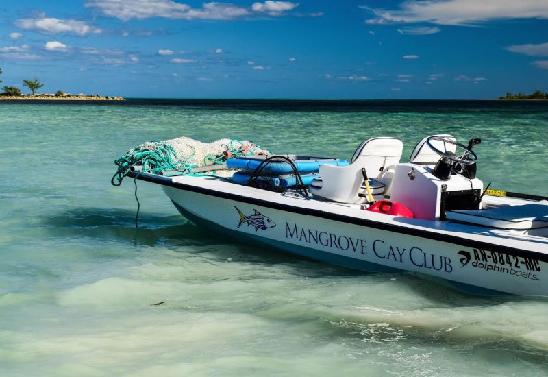 mangrove-cay-boat