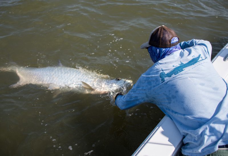 tarpon-2017-boatside