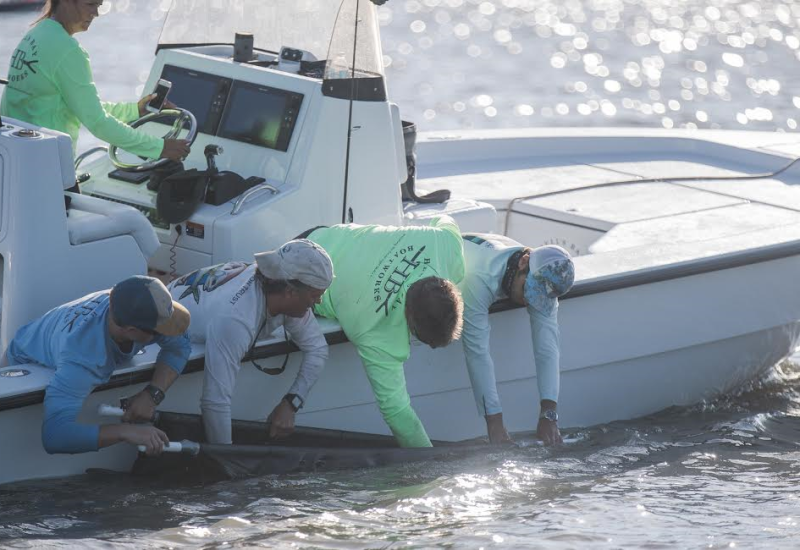 tarpon_acoustic_tagging_project