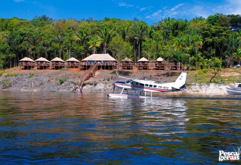 Vilanova Amazon